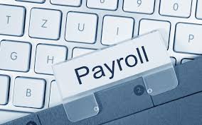 Payroll HRMS Software